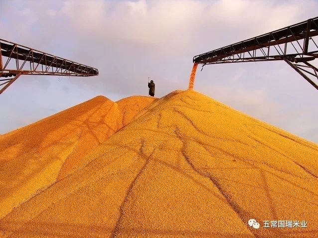 拉林河畔稻花香，美麗的秋天